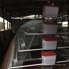 Galvanized 3 Layer 24 or 30 Nest Chicken Cage From China